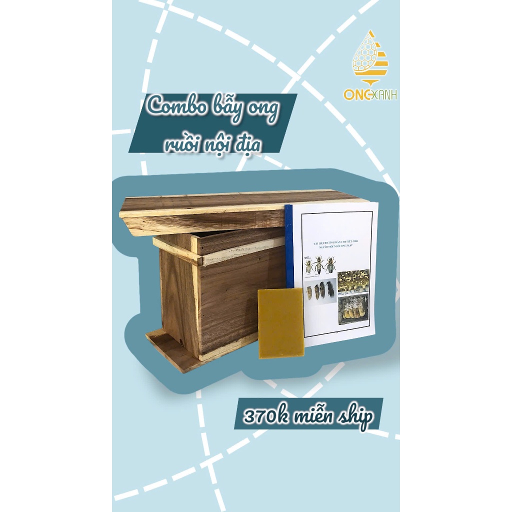 Combo bẫy ong ruồi nội địa 370 hiệu quả cao không cần bắt chúa
