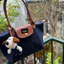 Túi Tote đeo vai nhiều màu size S M L (không kèm dây đeo chéo)