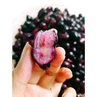 cây trâm núi trái to ngọt