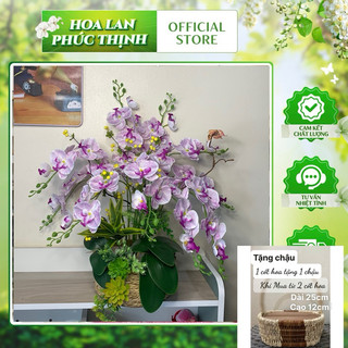 Chậu lan hồ điệp cắm sẵn 10cành 6bông  60cm ,chậu lan cắm sẵn và bộ nguyên liệu kèm tiểu cảnh và chậu