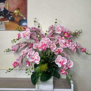 Chậu lan hồ điệp cắm sẵn 10cành 6bông  60cm ,chậu lan cắm sẵn và bộ nguyên liệu kèm tiểu cảnh và chậu