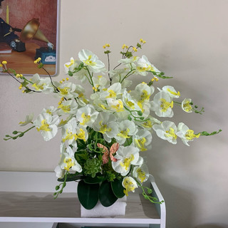 Chậu lan hồ điệp cắm sẵn 10cành 6bông  60cm ,chậu lan cắm sẵn và bộ nguyên liệu kèm tiểu cảnh và chậu