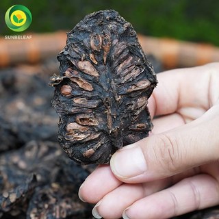 Trà Nhàu Rừng Sunbeleaf - Giúp Giảm Đau Nhức Xương Khớp, Sưng Tấy Và Viêm Nhiễm - Hộp 20 Gói