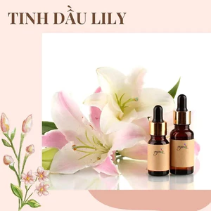 TINH DẦU HOA LILY ( HOA BÁCH HỢP)
