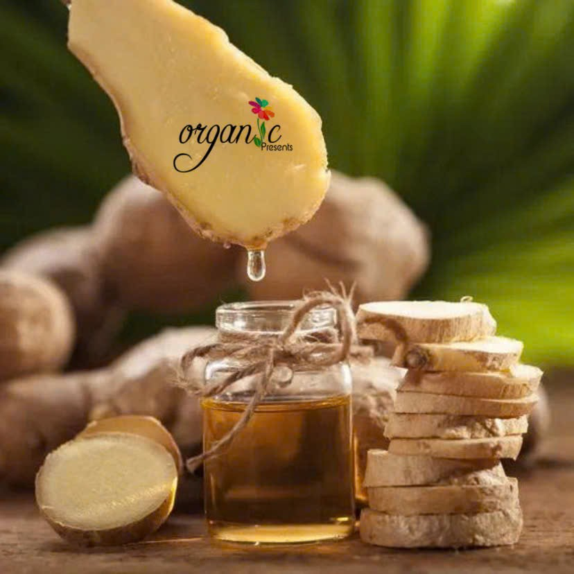 TINH DẦU GỪNG ( GINGER ) 5mL 10mL 30mL