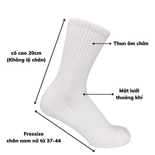 TẤT NAM,TẤT HÀI (SỐ LƯỢNG 1 ĐÔI)