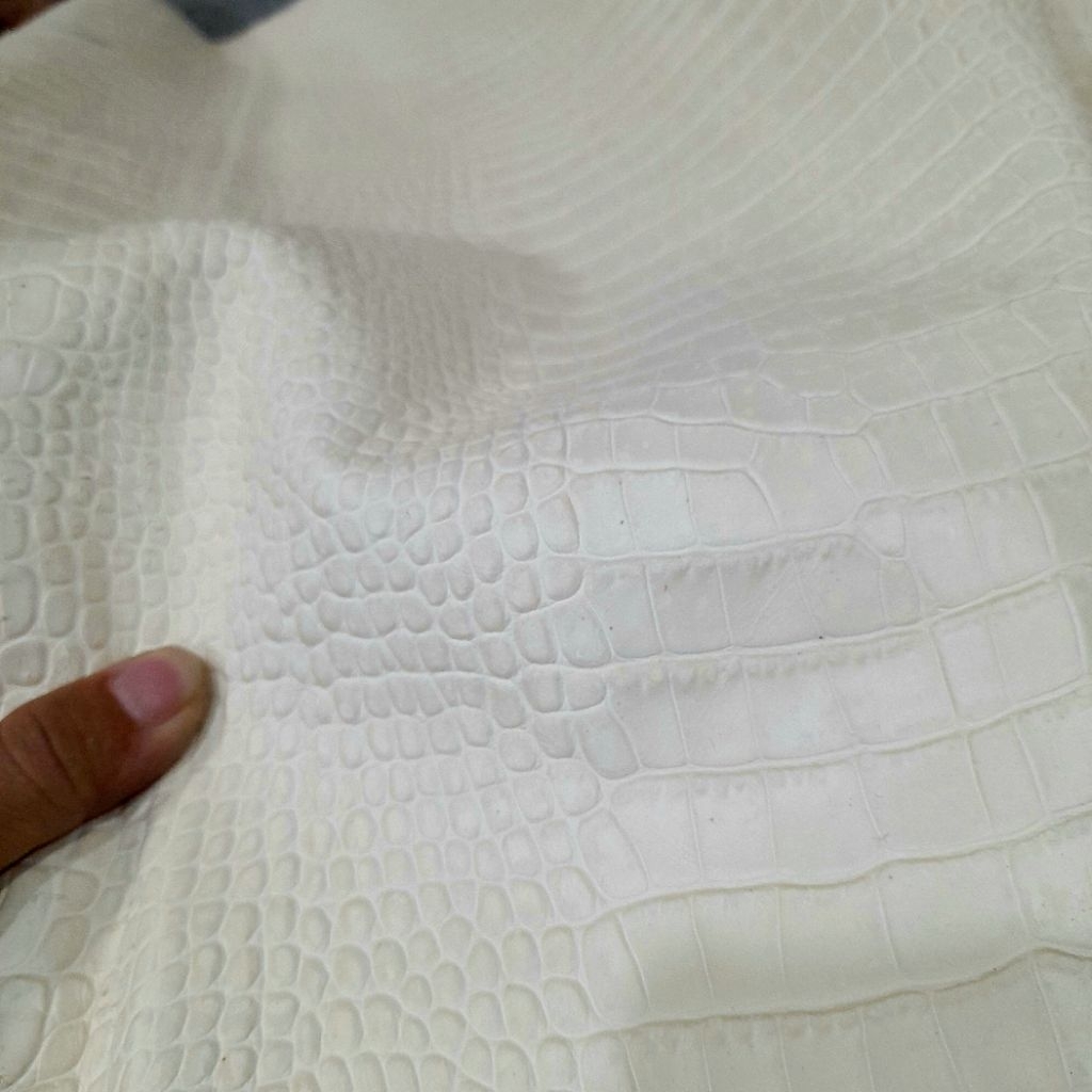 Cá sấu bụng trắng
