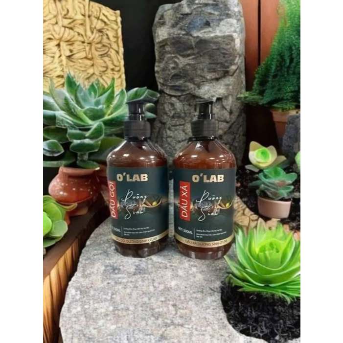 Gội xả OLAB Dưỡng Sinh 500ml