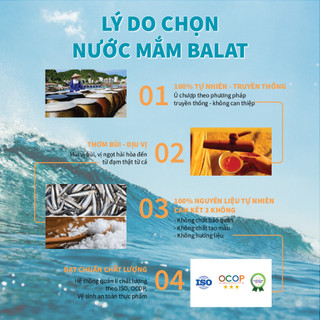 Thùng 6 Chai Nước Mắm Cá Cơm Nguyên Chất Ba Lạt 30 Đạm, Nước Mắm Chắt Truyền Thống