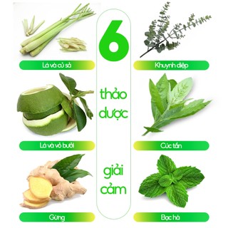 Lá Xông Giải Cảm Sunbeleaf - Thảo Dược Xông Hơi, Giải Cảm,Tắm Hoặc Xông Đều Được
