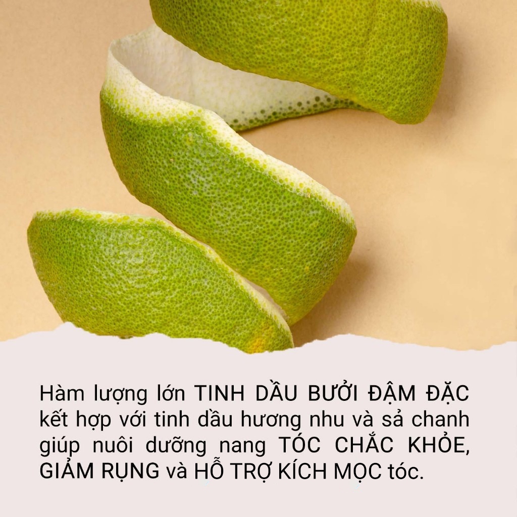 Xịt tóc Bưởi Argan, xịt tóc thiên nhiên thuần chay Giọt Lành 100ml | BigBuy360 - bigbuy360.vn