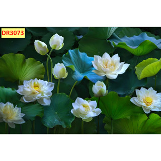 Tranh vải lụa 3d Cá Chép và Hồ Sen, Đầm Hoa, Sen Đá Decor Phòng Khách, Hàng Quán Tặng Keo Dán Tường