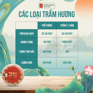 Nụ Trầm Thảo Mộc Huế Xưa, Trầm Hương Nụ Dùng Lư Xông Nhà Giúp Làm Ấm Không Gian, Đem Lại Cảm Giác Thư Giãn, 41 Viên/hộp