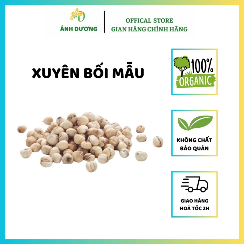 Xuyên Bối Mẫu ( Bối Mẫu Tứ Xuyên ) Hỗ Trợ Giảm Ho