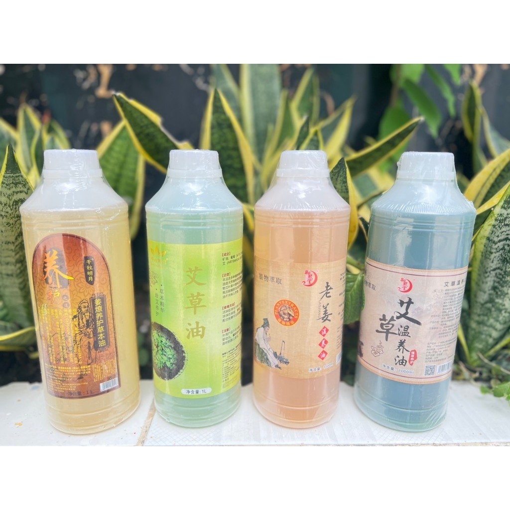 Tinh Dầu Massage Body, Dầu Massage Chiết Xuất Ngải Cứu Và Gừng Giúp Bài Độc, Thư Giãn Cơ Thể, Lọ 1000ml