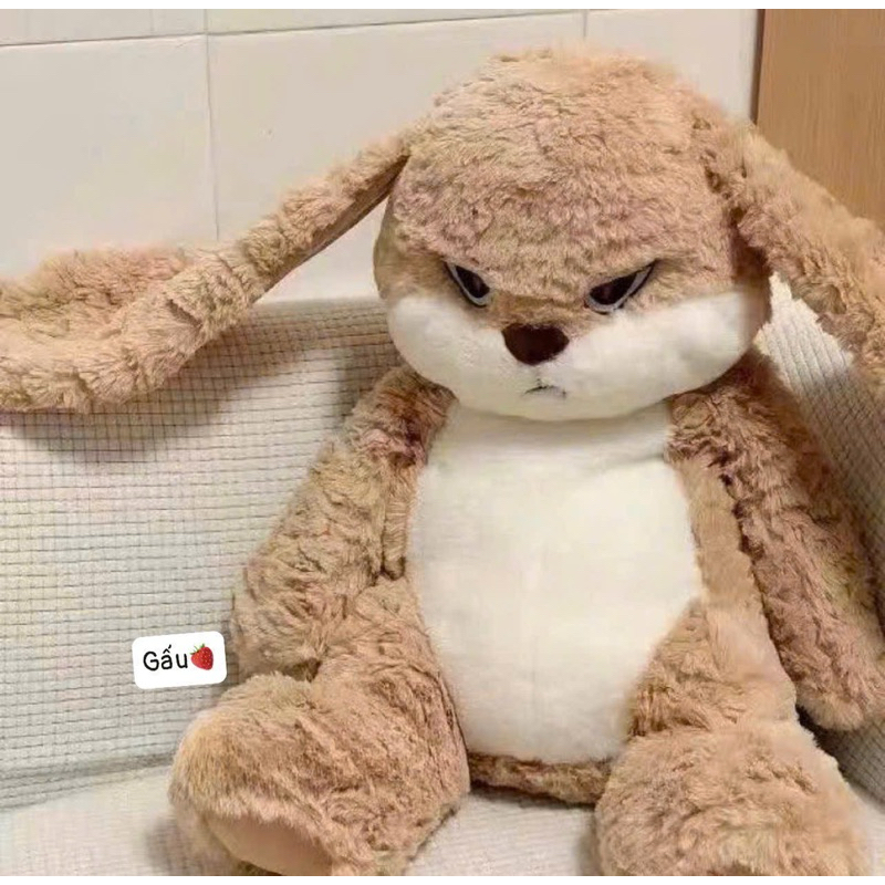 Gấu bông mặt xị 55cm cưng xỉu