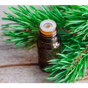 TINH DẦU GỖ THÔNG TRẮNG (PINE)