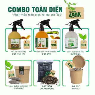Nhà Thương Cây - COMBO PHÁT TRIỂN TOÀN DIỆN TỐI ƯU CHO CÂY