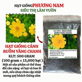 100 Gram -Hạt Giống Hoa  Sao Nhái Cánh Bướm Vàng Đơn Cao Phương Nam