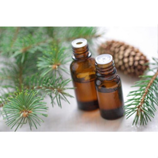 TINH DẦU GỖ THÔNG TRẮNG (PINE) 50mL 100mL