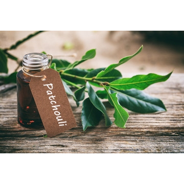 TINH DẦU HOẮC HƯƠNG (PATCHOULI)