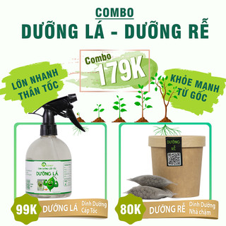 Nhà Thương Cây - COMBO DƯỠNG LÁ - DƯỠNG RỄ