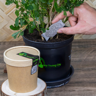 Nhà Thương Cây - COMBO DƯỠNG LÁ - DƯỠNG RỄ