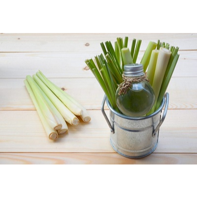 TINH DẦU SẢ CHANH (LEMONGRASS)