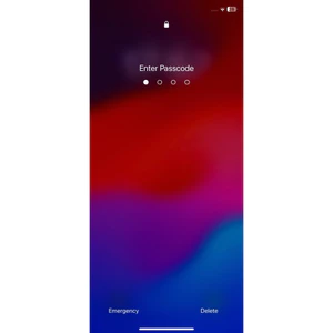 Seller App preorder Tết