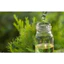 TINH DẦU TRÀM TRÀ (TEA TREE) 50mL 100mL