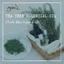 TINH DẦU TRÀM TRÀ (TEA TREE) 50mL 100mL