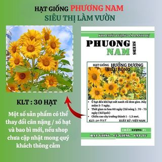 30 Hạt - Hạt Giống Hoa Hướng Dương Siêu Bông (Tháp) Phương Nam