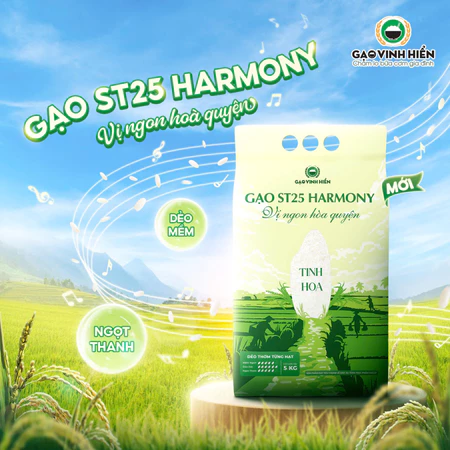 Gạo ST25 Harmony Vinh Hiển 5KG - Dẻo mềm, thơm ngon, cao cấp - Vị ngon hòa quyện - Gạo nấu cho bé, gạo cho bé ăn dặm