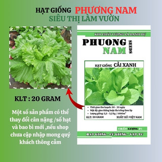 20 Gram - Hạt Giống Cải Xanh Phương Nam