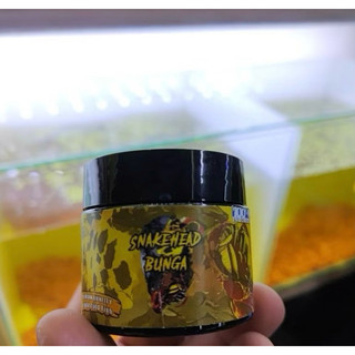 Cám cá lóc SNAKEHEAD BUNGA- 20g Phát triển màu viền  vảy và phát triển màu - sản phẩm hót từ indonesia