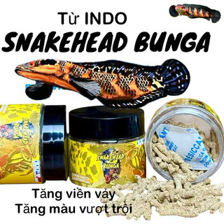 Cám cá lóc SNAKEHEAD BUNGA- 20g Phát triển màu viền  vảy và phát triển màu - sản phẩm hót từ indonesia