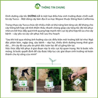 Nhà Thương Cây - Chai Dưỡng Lá dinh dưỡng cấp tốc - Phục hồi nhanh chóng, cây sinh trưởng thần tốc