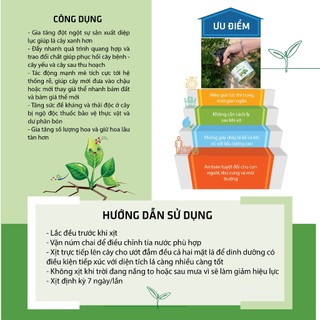 Nhà Thương Cây - Chai Dưỡng Lá dinh dưỡng cấp tốc - Phục hồi nhanh chóng, cây sinh trưởng thần tốc