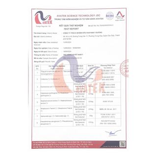 COMBO 2h Trà thảo mộc Hồng huyết Nam Y dạng túi lọc