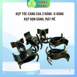 Kẹp Tóc Càng Cua 3 Răng -5 Răng.Kẹp tóc gọn gàng cho mùa hè đẹp rẻ