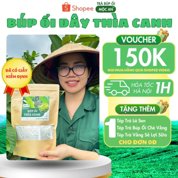 Trà Búp Ổi Dây Thìa Canh MỘC AN – Trà Thảo Mộc Tự Nhiên