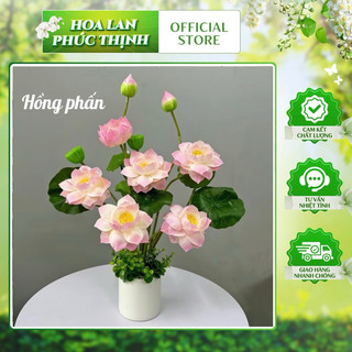 Cụm sen quan âm 60cm gồm 8 chi tiết (3 hoa, 3 lá, 1 đài, 1 búp)  decor, tranng trí nhà cửa