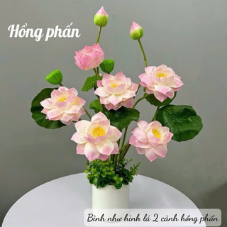 Cụm sen quan âm 60cm gồm 8 chi tiết (3 hoa, 3 lá, 1 đài, 1 búp)  decor, tranng trí nhà cửa
