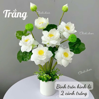 Cụm sen quan âm 60cm gồm 8 chi tiết (3 hoa, 3 lá, 1 đài, 1 búp)  decor, tranng trí nhà cửa