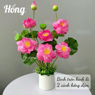 Cụm sen quan âm 60cm gồm 8 chi tiết (3 hoa, 3 lá, 1 đài, 1 búp)  decor, tranng trí nhà cửa