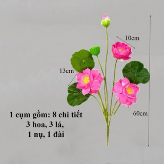 Cụm sen quan âm 60cm gồm 8 chi tiết (3 hoa, 3 lá, 1 đài, 1 búp)  decor, tranng trí nhà cửa