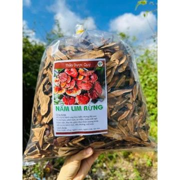 Nấm lim xanh rừng Tự Nhiên Thái Lát (túi 300g _nấm khô cong , lát đẹp , thơm tự nhiên).