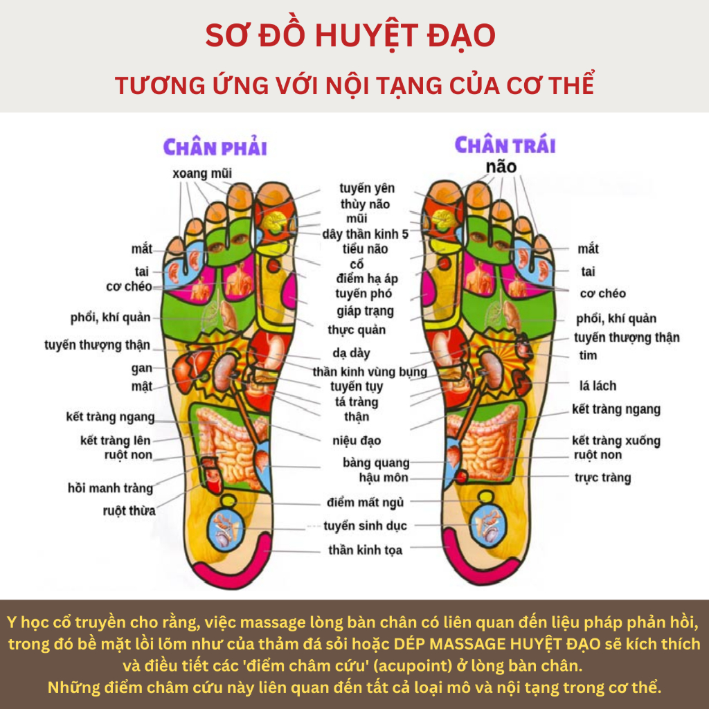 Dép massage kích thích huyệt đạo bấm huyệt lòng bàn chân cải thiện sức khỏe