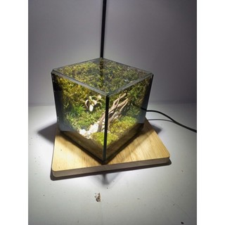 Terrarium " Rừng Thiên " quà tặng dành cho các cặp đôi ý nghĩa và lãn mạn