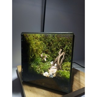 Terrarium " Rừng Thiên " quà tặng dành cho các cặp đôi ý nghĩa và lãn mạn